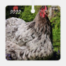 Search for splash christmas tree decorations Animal