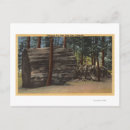 Search for calaveras postcards Big