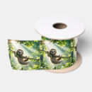 Search for sloth ribbon Wildlife
