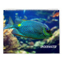 Search for underwater photography Tropical fish