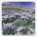 Search for boulder colorado stickers Nature