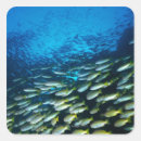 Search for large fish stickers Animal