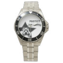 Search for pitbulls watches Amstaff