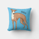 Search for greyhound cushions Dog