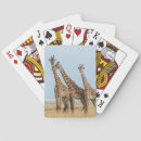 Search for danita delimont playing cards Wildlife