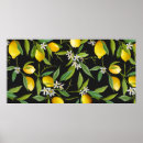 Search for vintage fruit posters Retro