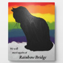 Search for rainbow bridge gifts Cat