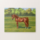 Search for arabian horse puzzles Horses