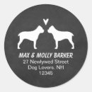 Search for cane corso stickers Dog