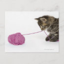 Search for tabby postcards Cat lovers