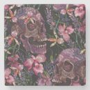 Search for skull coasters Illustration