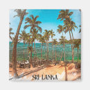 Search for tropical square magnets Souvenir