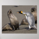 Search for paul souders posters Nobody
