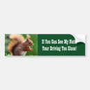 Search for squirrel bumper stickers Humour