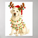 Search for laboratory posters Funny