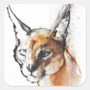 Search for caracal stickers Desert lynx