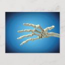 Search for human bones postcards 3d