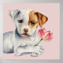 Search for lotus flower posters Peaceful