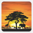 Search for african wildlife stickers Nature