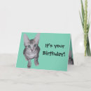 Search for kitten birthday cards Kitties