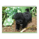 Search for maltese calendars Poodle