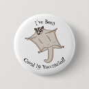 Search for gliders badges Sugar glider