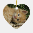 Search for orange tabby cat christmas tree decorations Sweet