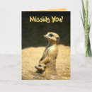 Search for mongoose cards Meerkat