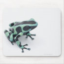Search for frog mousepads Selective focus