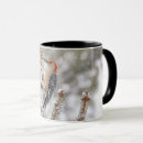 Search for red belly mugs Nature