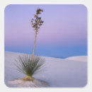Search for white sand stickers Sunset