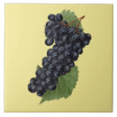 Search for wine grapes tiles Vintage