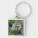 Search for marmot key rings Cute