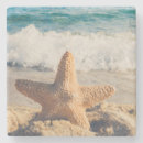 Search for starfish coasters Ocean