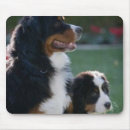 Search for bernese mousepads Mountain