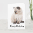 Search for fluffy kitten birthday cards Cute
