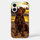 Search for chocolate labrador iphone cases Funny