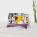 Search for english bulldog cards Animals