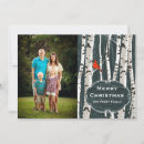 Search for birch christmas cards Cardinal