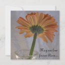 Search for gerber daisies invitations Floral