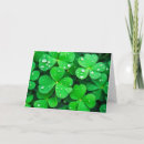 Search for irish luck cards Shamrock