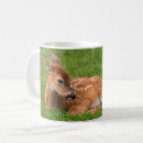 Search for young living mugs Nature