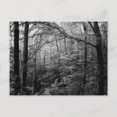 Search for black and white photography postcards Mountains