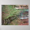 Search for muir woods posters Trees