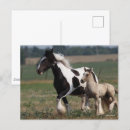 Search for gypsy vanners postcards Running