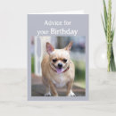 Search for chihuahua birthday cards Animal