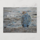 Search for pigeon birthday cards Cute
