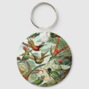 Search for birds vintage key rings Biology