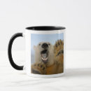 Search for nwr mugs Global warming