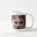 Search for calico kittens mugs Feline